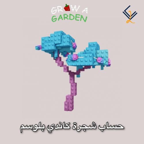 حساب شجرة كاندي بلوسوم | ماب قرو قاردن