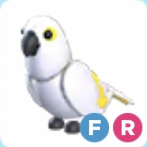 FR White Amazon