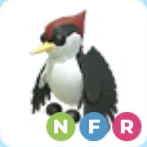 NFR woodpecker