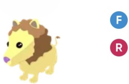 Lion ( FR
