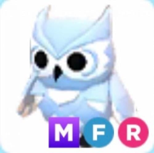 MFR Snow owl