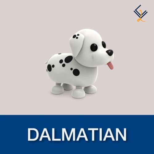 DALMATIAN | ادوبت مي