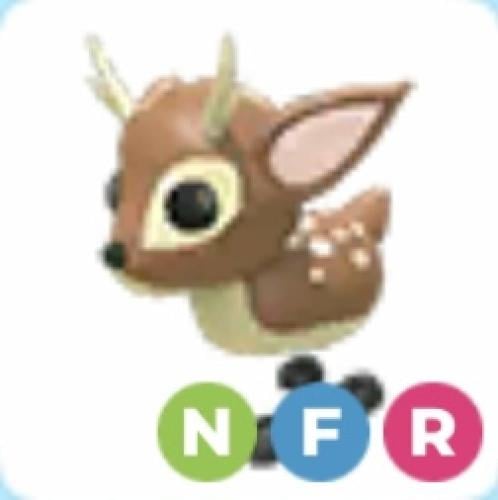 NFR Fallow Deer