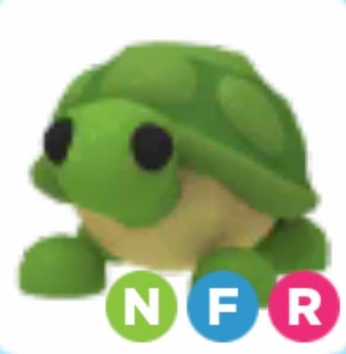 NFR Turtle