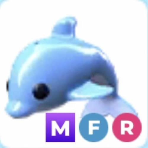 MFR Dolphin