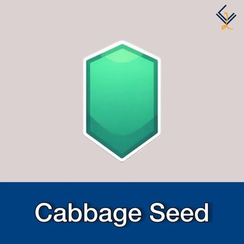 Cabbage Seed | بذور ماب قاردن هورايزن