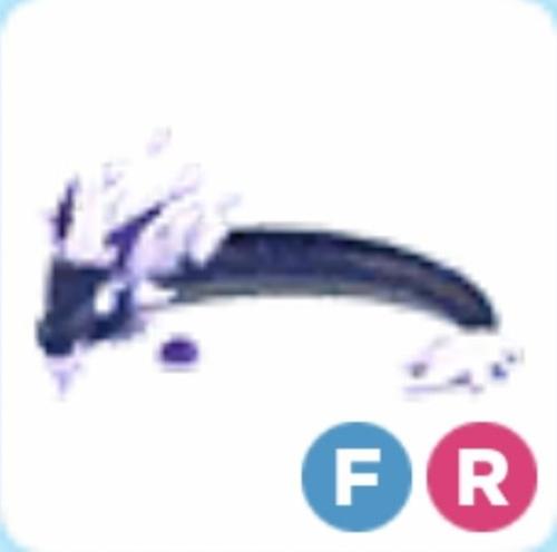 FR Midnight dragon