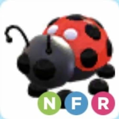 NFR Ladybug