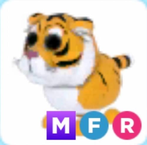 MFR Lunar tiger