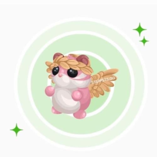 Cherub Chipmunk FR