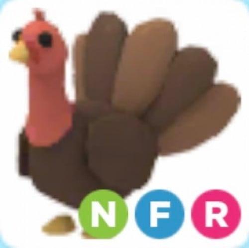 NFR Turkey