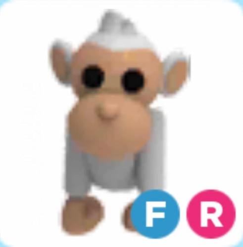 FR Albino Monkey