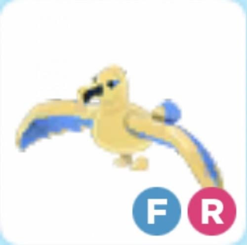 FR Golden Albatross