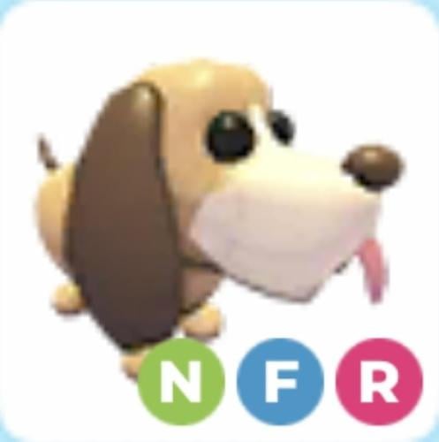NFR Bloodhound