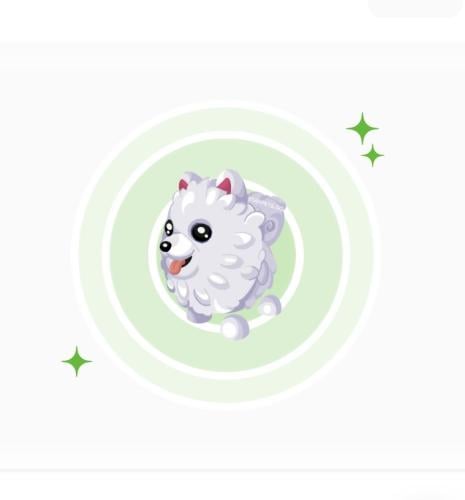 Samoyed NFR