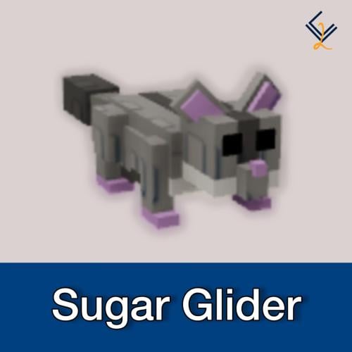 Sugar Glider - طائر السكر | ماب المزرعة
