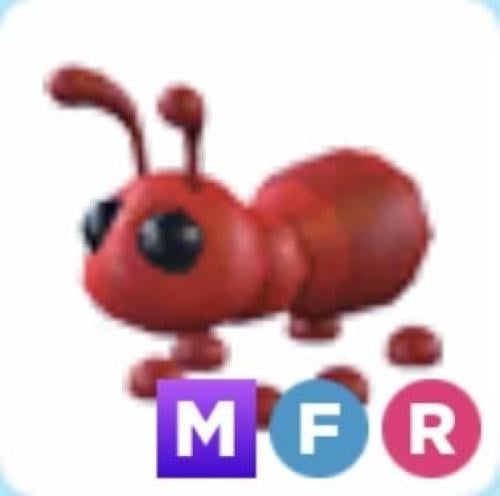 MFR Ant