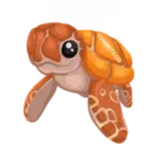 السلحفاة البحرية - Sea Turtle