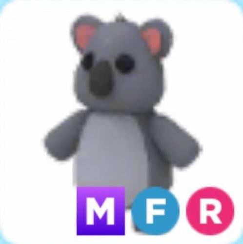MFR Koala