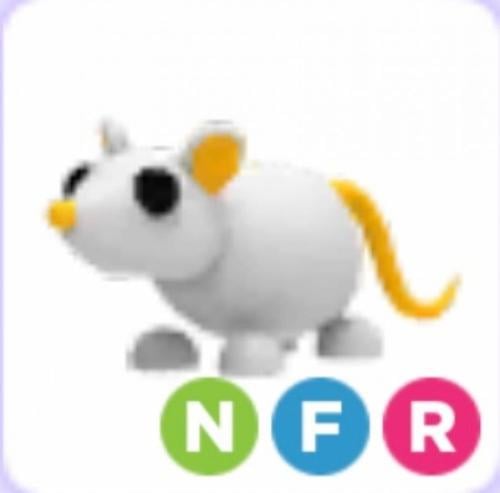 NFR Golden Rat