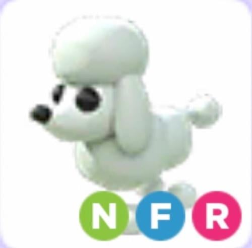 NFR Poodle