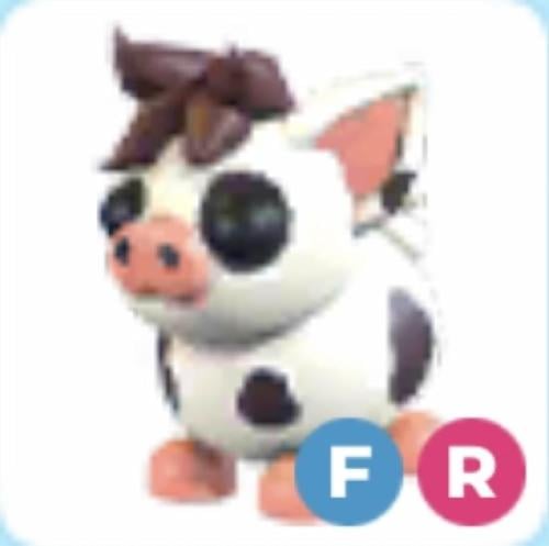 FR Mini Pig