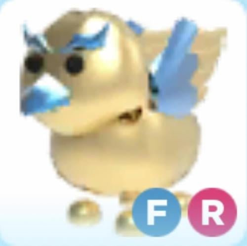 FR Golden griffin