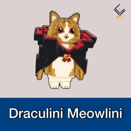 Draculini Meowlini | الهروب من التسونامي