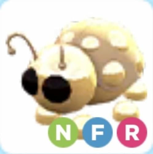 NFR Golden Ladybug