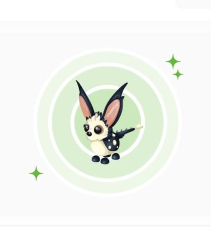 Water Opossum FR