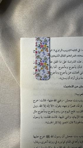 فاصل كتب مغناطيسي