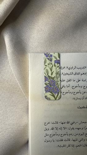 فاصل كتب مغناطيسي