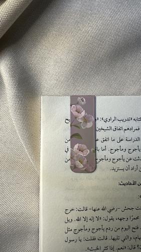 فاصل كتب مغناطيسي