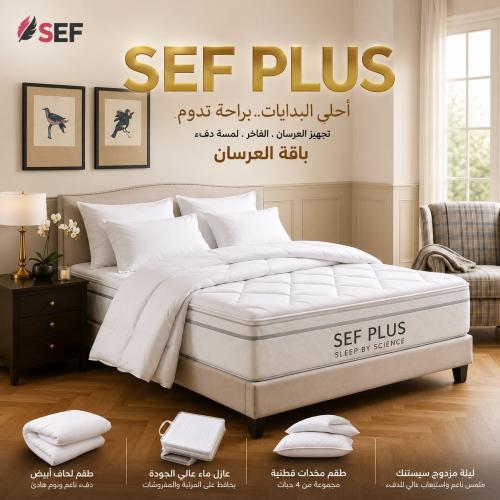 باقة العرسان SEF PLUS