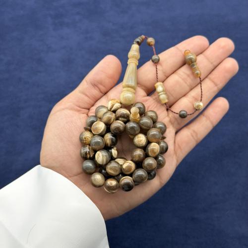 قرن جاموس دائري