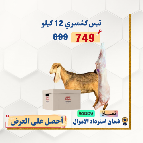 تيس كشميري جذع 12 كيلو