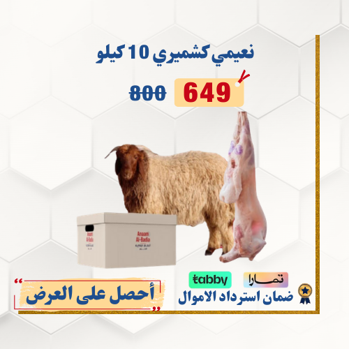 خروف نعيمي كشميري هرفي وزن 10 كيلو