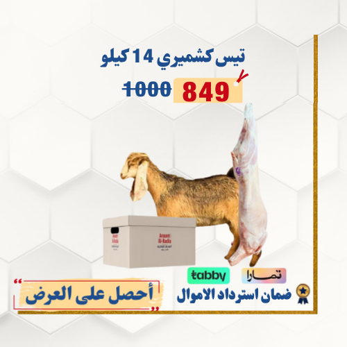 تيس كشميري جذع 14 كيلو