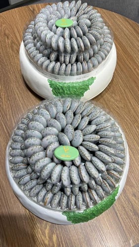 حبات الماكرون الجاهز