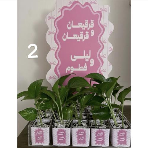 صينية توزيعات نباتية مع ستاند