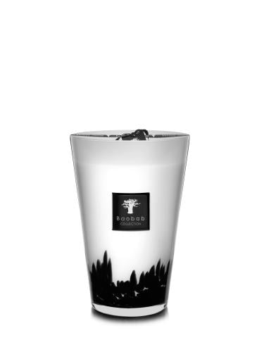 ماكسي ماكس فيذرز, 6500غ