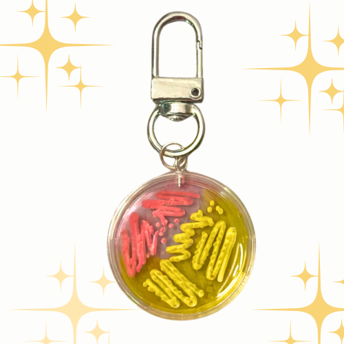 Agar media keychain