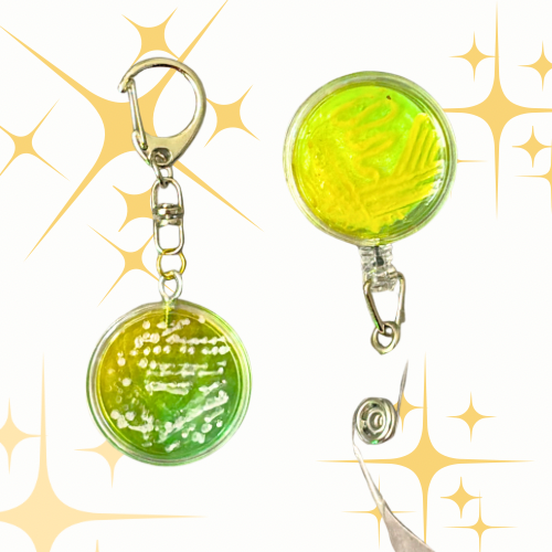 +keychain +green card holder