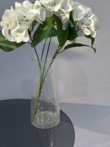 فازه زجاج cm23