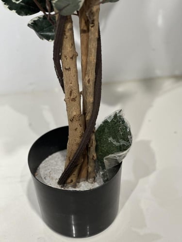 شجر الفيكس بجذع طبعي وأغصان صناعية ارتفاع 190 سم