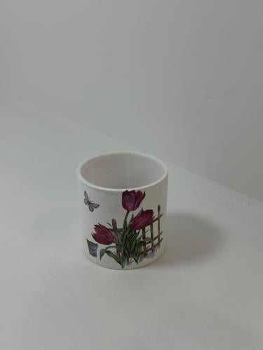 فازه نبات 7*7سم