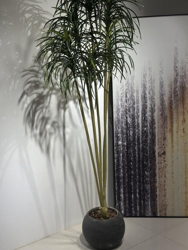 نخل بحري صناعي ارتفاع 210سم