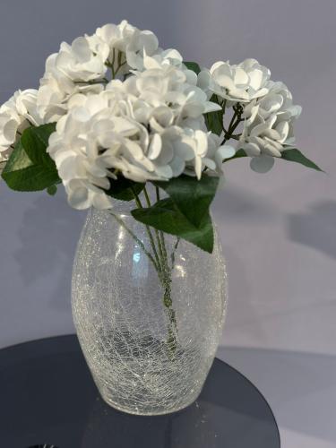 فازه زجاج cm27