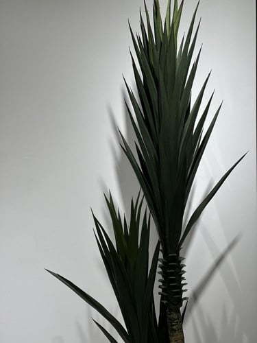 شجرة نخيل الصناعية ارتفاع 160 سم