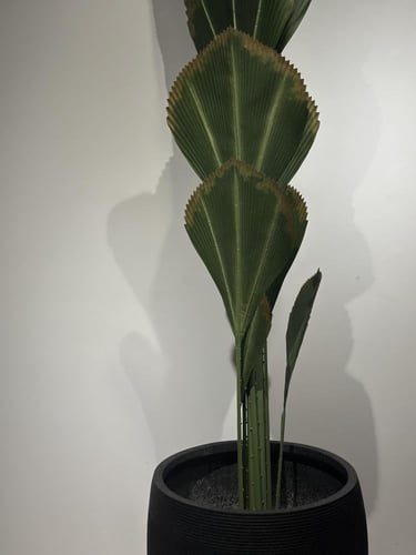 شجرة الموز الصناعية ارتفاع 210 سم